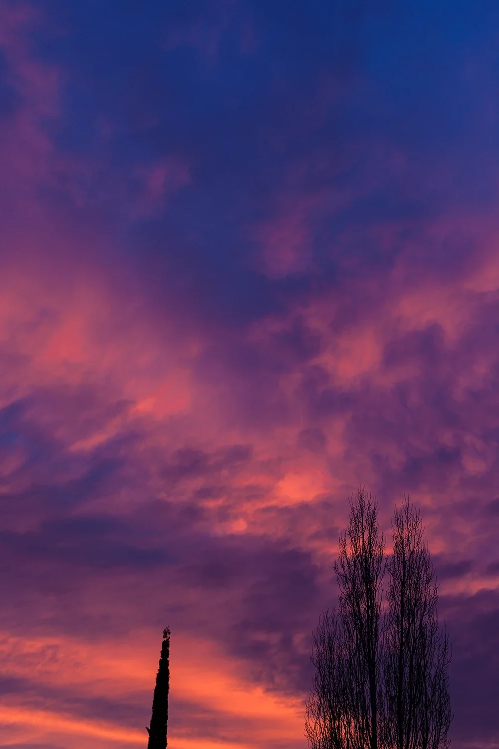 Paysages #256 © Rémy SALAÜN
