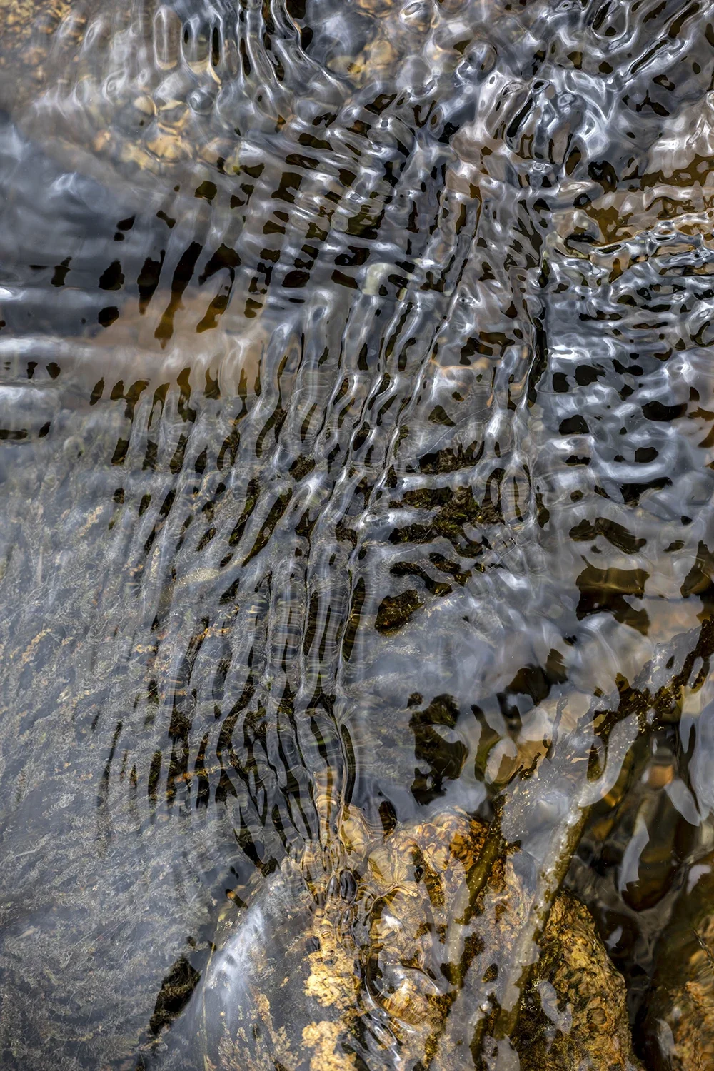 Physique des Fluides #177 © Rémy SALAÜN