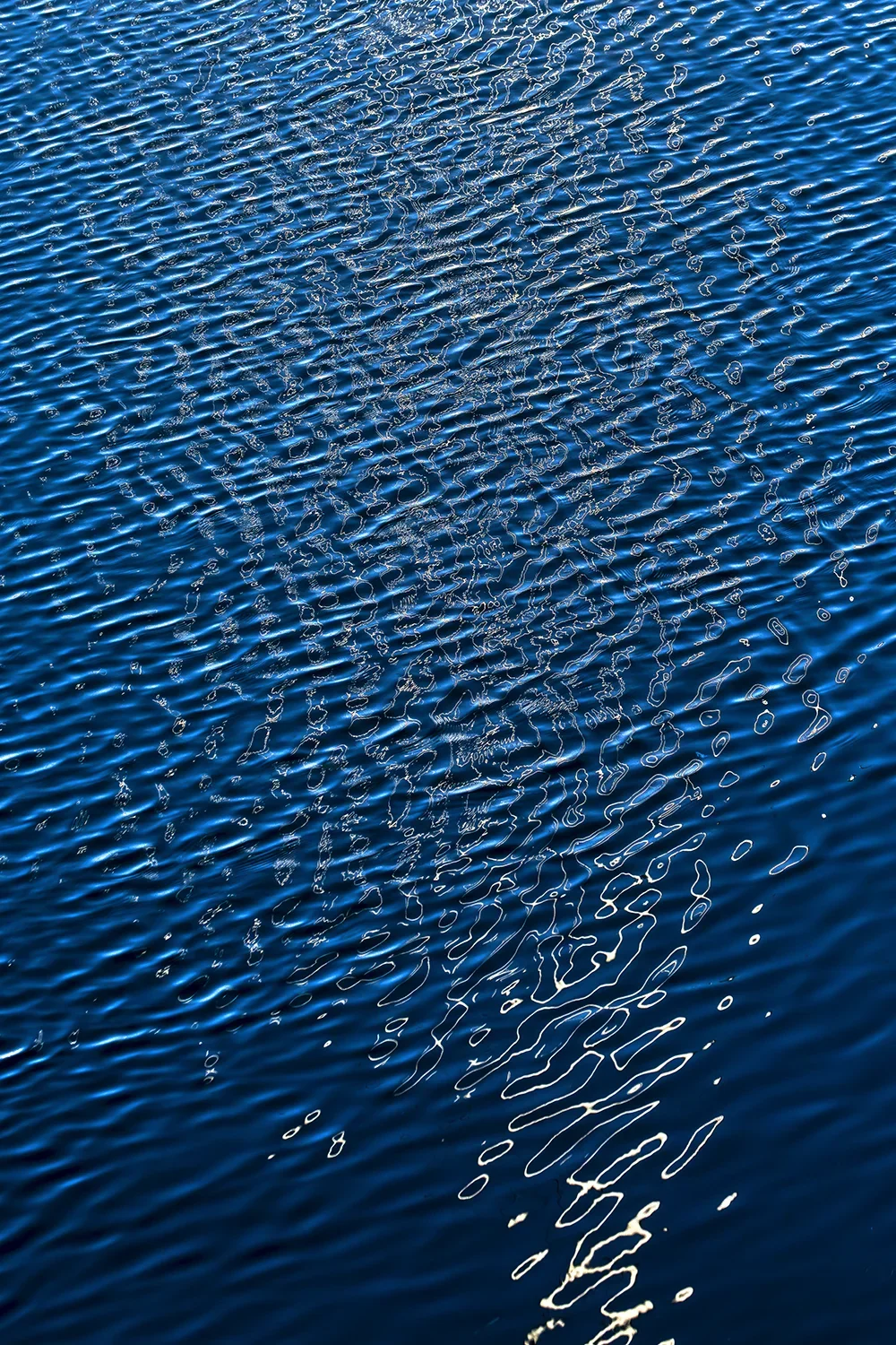 <strong>Mare Nostrum #77</strong> <small>© Rémy SALAÜN</small>