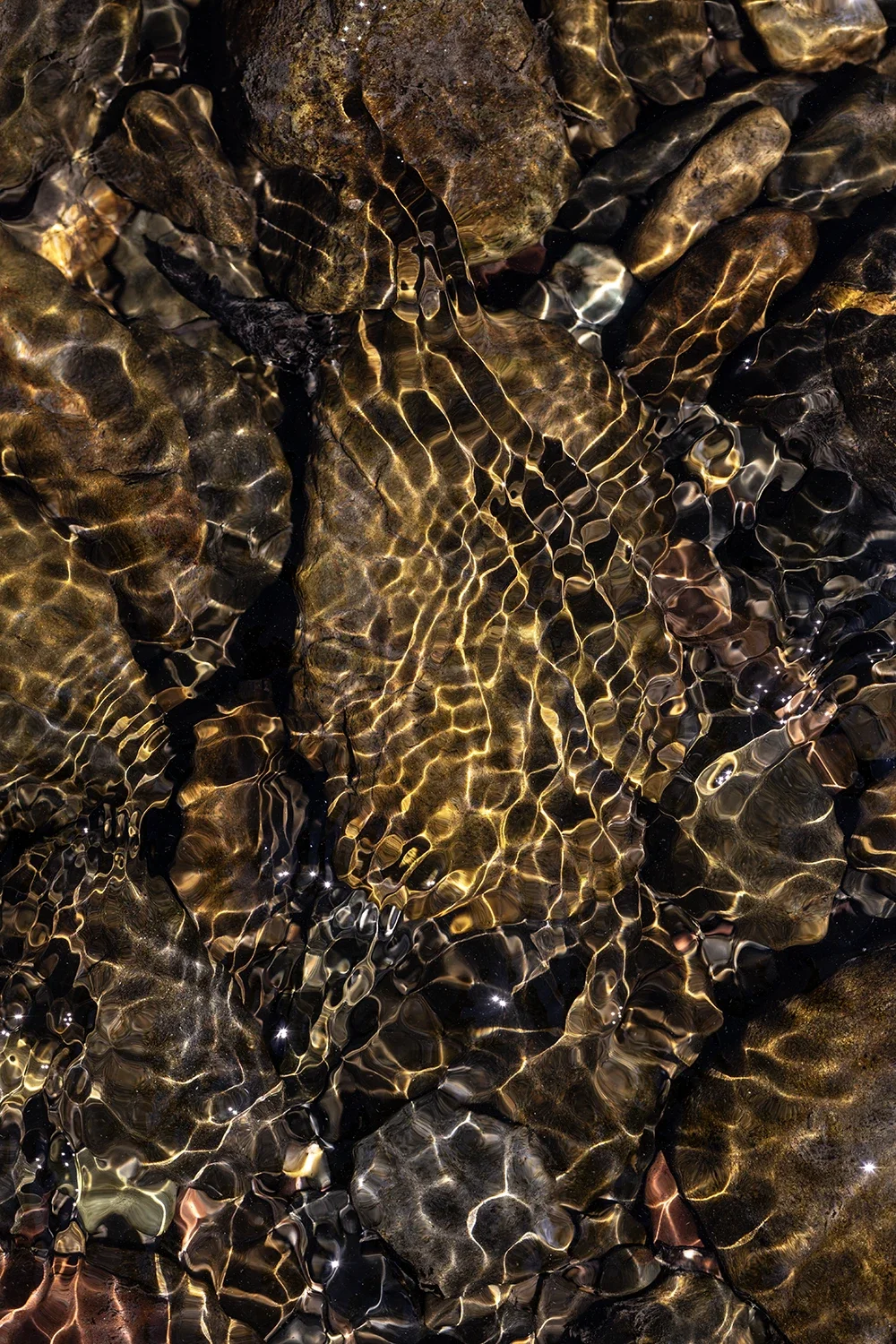 Physique des Fluides #164 © Rémy SALAÜN