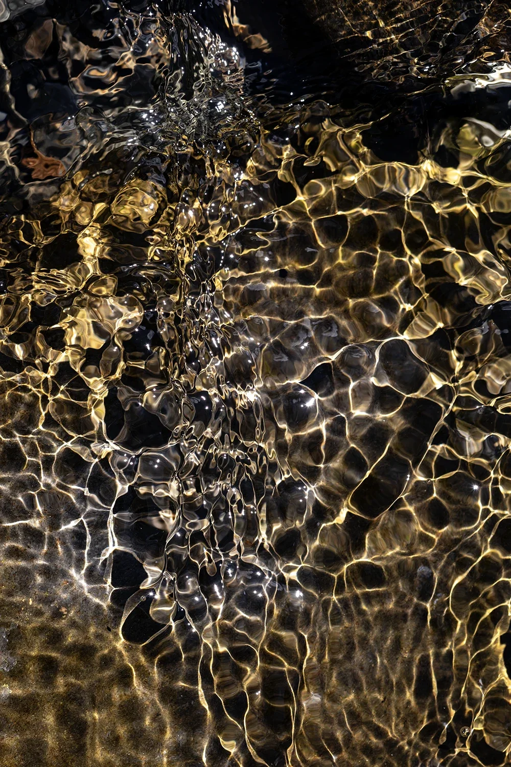 Physique des Fluides #163 © Rémy SALAÜN