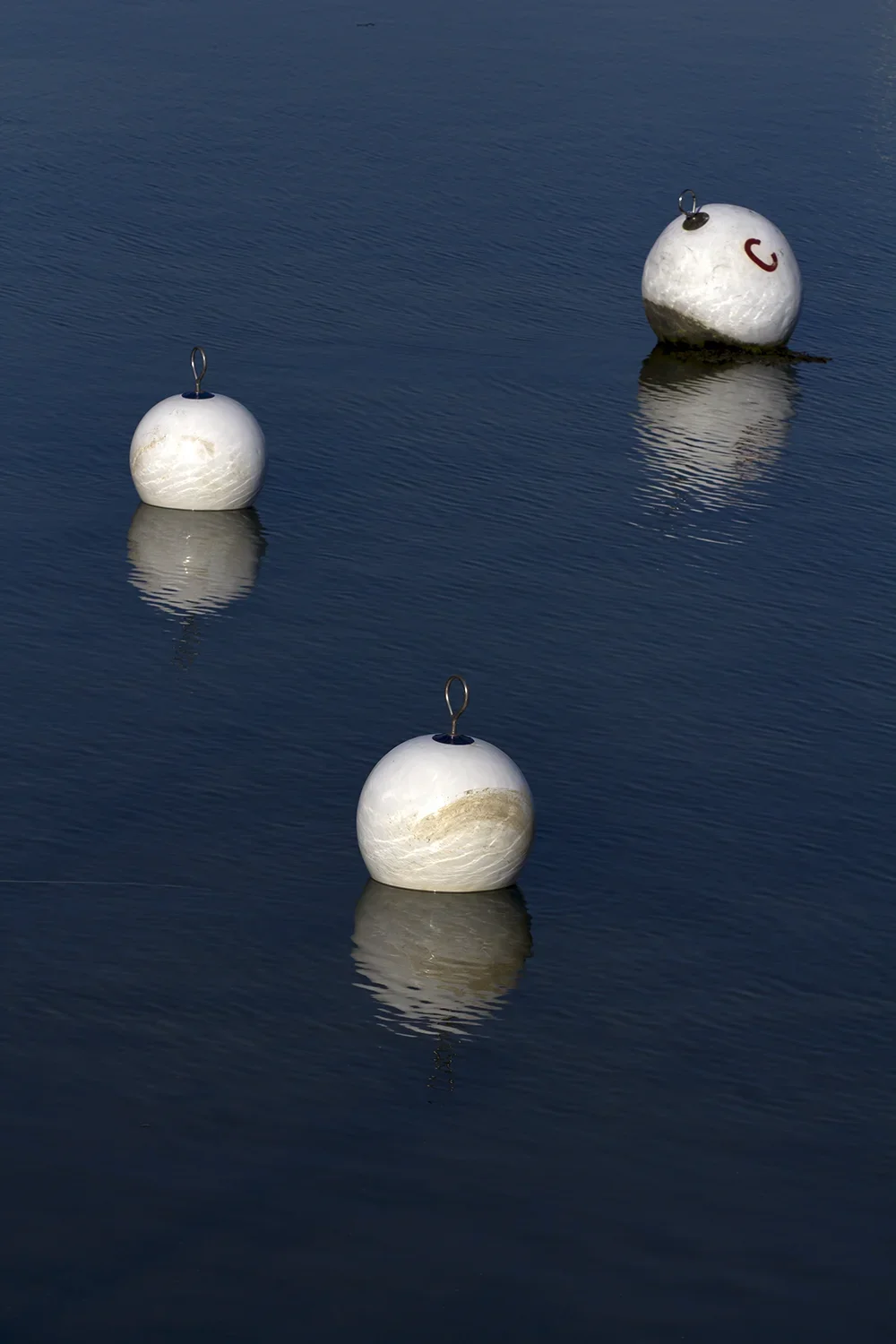 <strong>Reflets Portuaires #99</strong> <small>© Rémy SALAÜN</small>