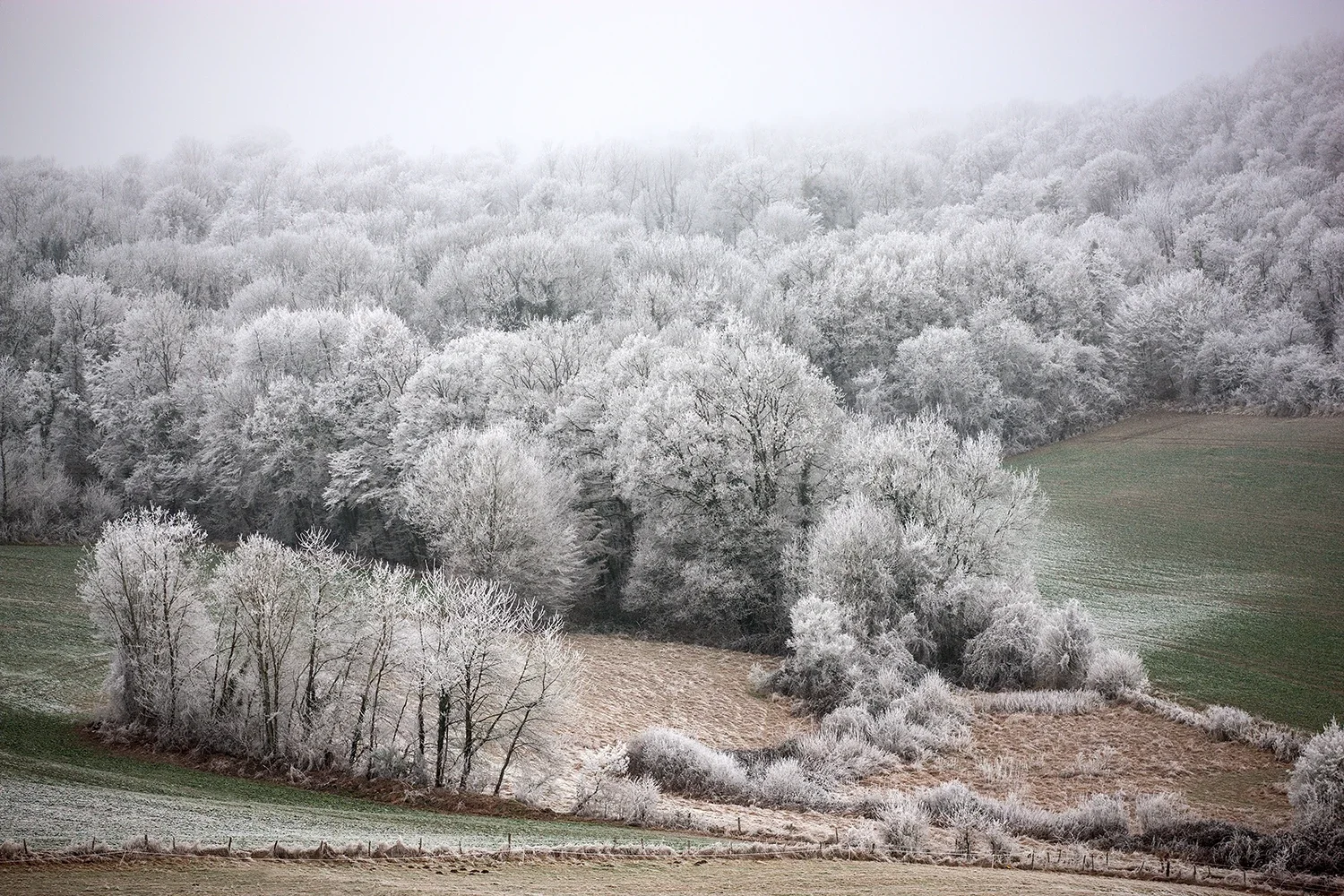 Paysages #265 © Rémy SALAÜN