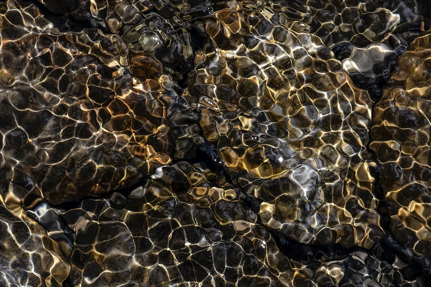 Physique des Fluides #174 © Rémy SALAÜN