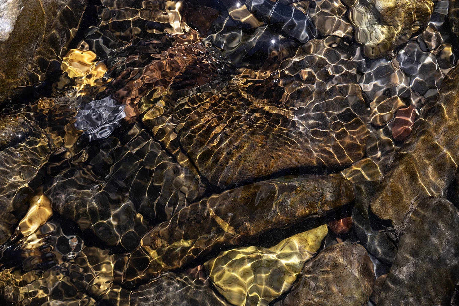 Physique des Fluides #179 © Rémy SALAÜN