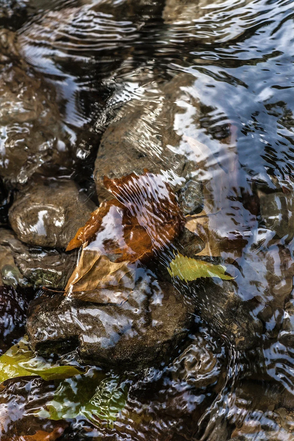 Physique des Fluides #167 © Rémy SALAÜN