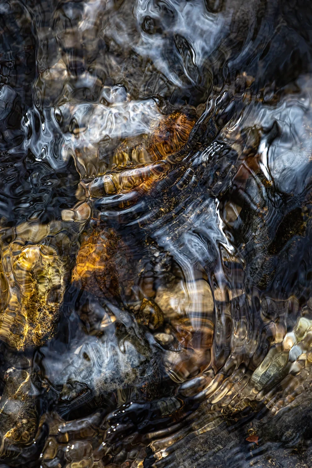 Physique des Fluides #168 © Rémy SALAÜN