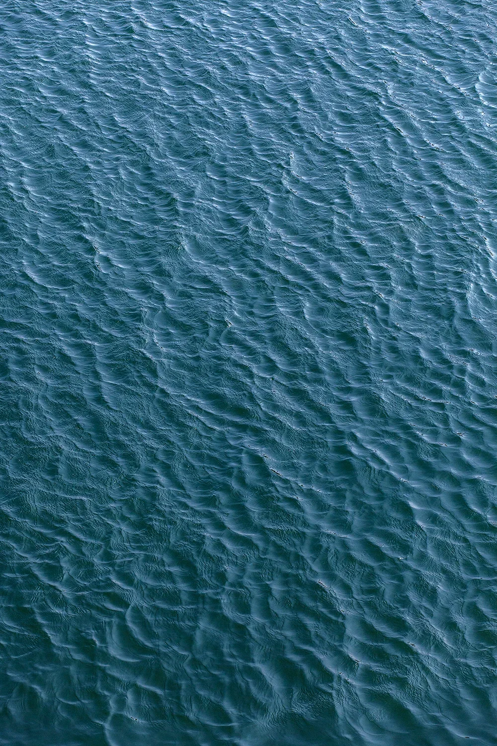 <strong>Mare Nostrum #76</strong> <small>© Rémy SALAÜN</small>