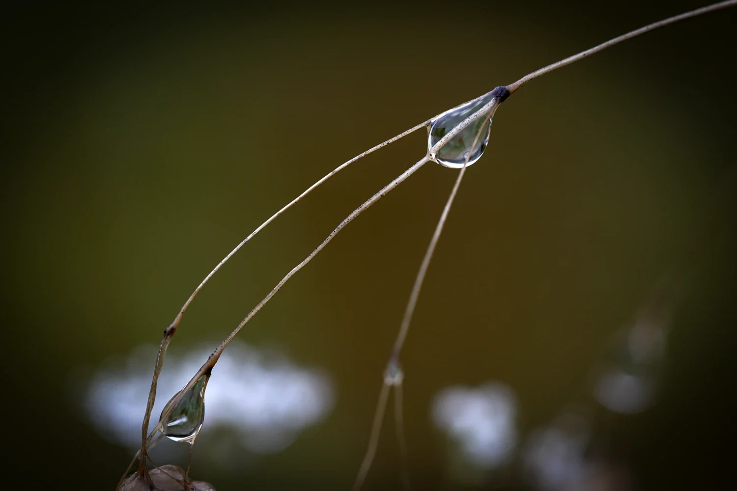 Après la Pluie #180 © Rémy SALAÜN