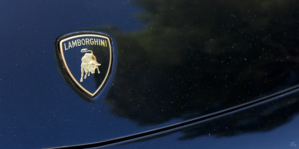 <strong>Lamborghini</strong> • Logotype, automobile - Le Castellet <small>© Rémy SALAÜN</small>