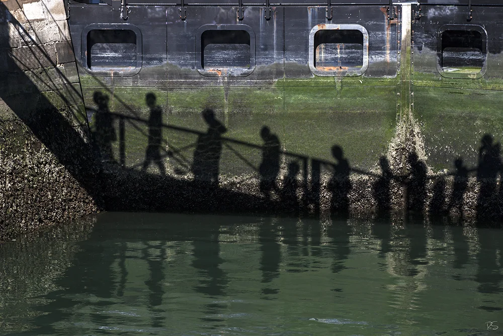 <strong>Migration</strong> - La Rochelle <small>© Rémy SALAÜN</small>