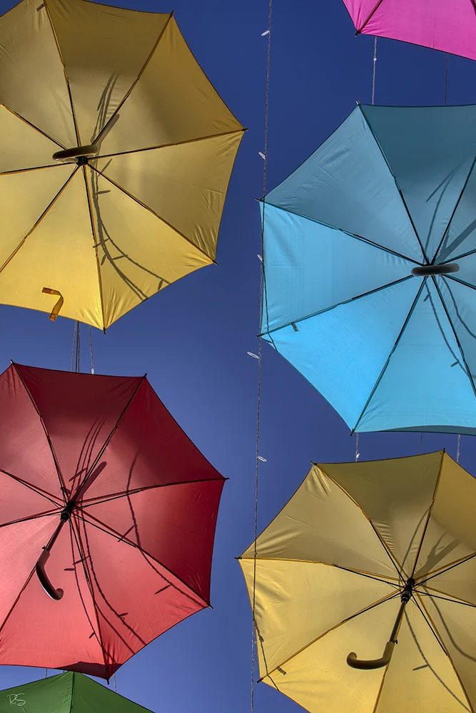 <strong>Parapluies de Rue</strong> - Laon <small>© Rémy SALAÜN</small>