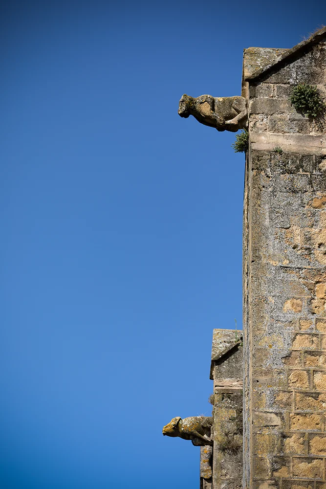 <strong>Gargouilles Gersoises</strong> • Église Sainte-Marie, église Notre-Dame - Mirande <small>© Rémy SALAÜN</small>